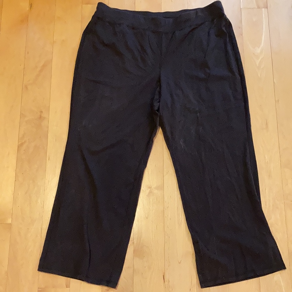 Eileen fisher stretchy pants